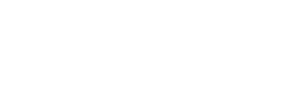 SPSS logosu