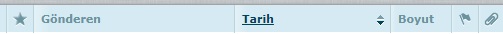 Webmail tarih alanını gösteren ekran görüntüsü